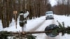 Image result for "Каваленка"