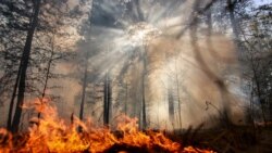 Пожары в Турции и последствия для Крыма | Крымский вечер
