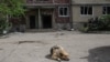 ОВА: через удар Росії по Костянтинівці є загиблі й поранені