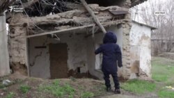 "Зорланған бала" дауы қайта ушықты