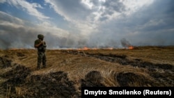 Украинский военный на горящем пшеничном поле у линии фронта на границе Запорожской и Донецкой областей, 17 июля 2022 г.