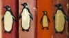 Книги издательства Penguin в одном из лондонских букинистических магазинов