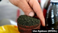 Насвай (иллюстративное фото)  