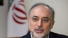 صالحی: بعد از انتخابات آمریکا شاید برجام روزهای سختی داشته باشد