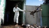 1-е место / События / серии Оливье Лабан-Маттеи, Франция, Agence France-Presse 